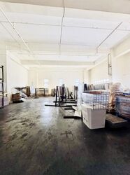 North Spring Bizhub (D27), Factory #521832911